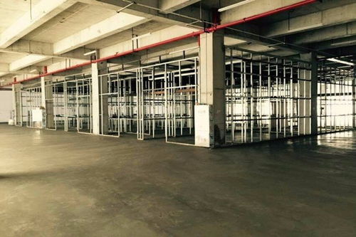 dr室鉛門規(guī)格型號(hào)莆田